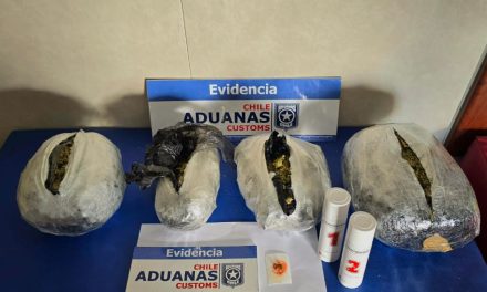 Aduana incauta 2,7 kilos de marihuana en terminal portuario de Puerto Natales