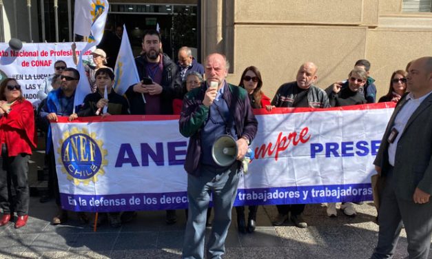 Trabajadores de Conaf inician movilización: buscan destitución de director ejecutivo Christian Little